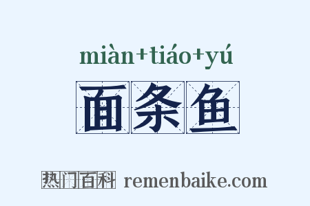 面条鱼是什么意思的图片